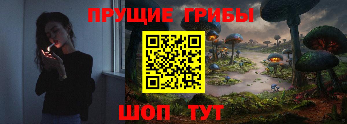 Галлюциногенные грибы мицелий  Вход с VPN  Строитель 