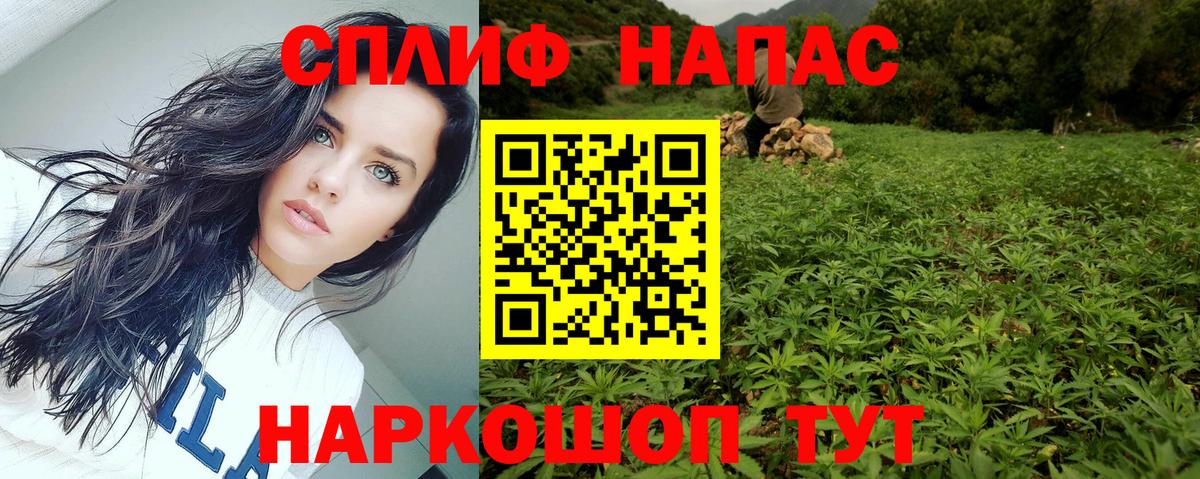 Бошки Шишки планчик  Вход с VPN  Марихуана конопля  Каннабис MAZAR  Строитель 